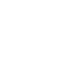 Shinechip logo