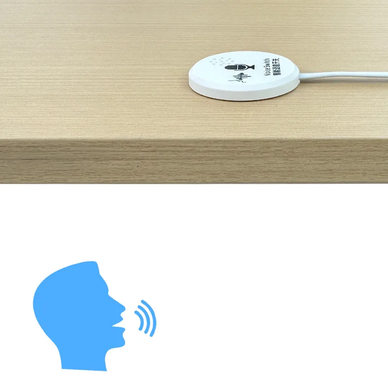 SLYZ-VS-001 Offline Voice-Control Switch for LED Lights, 12/24V - photo 2